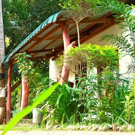 Sigiri Picaso Home Stay Sigiriya Exteriör bild