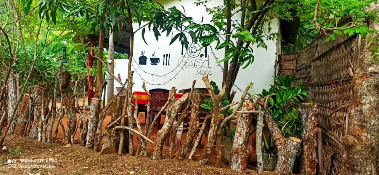 Sigiri Picaso Home Stay Sigiriya Exteriör bild