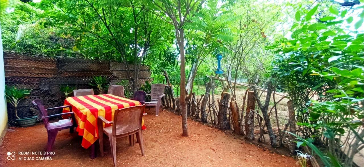 Sigiri Picaso Home Stay Sigiriya Exteriör bild