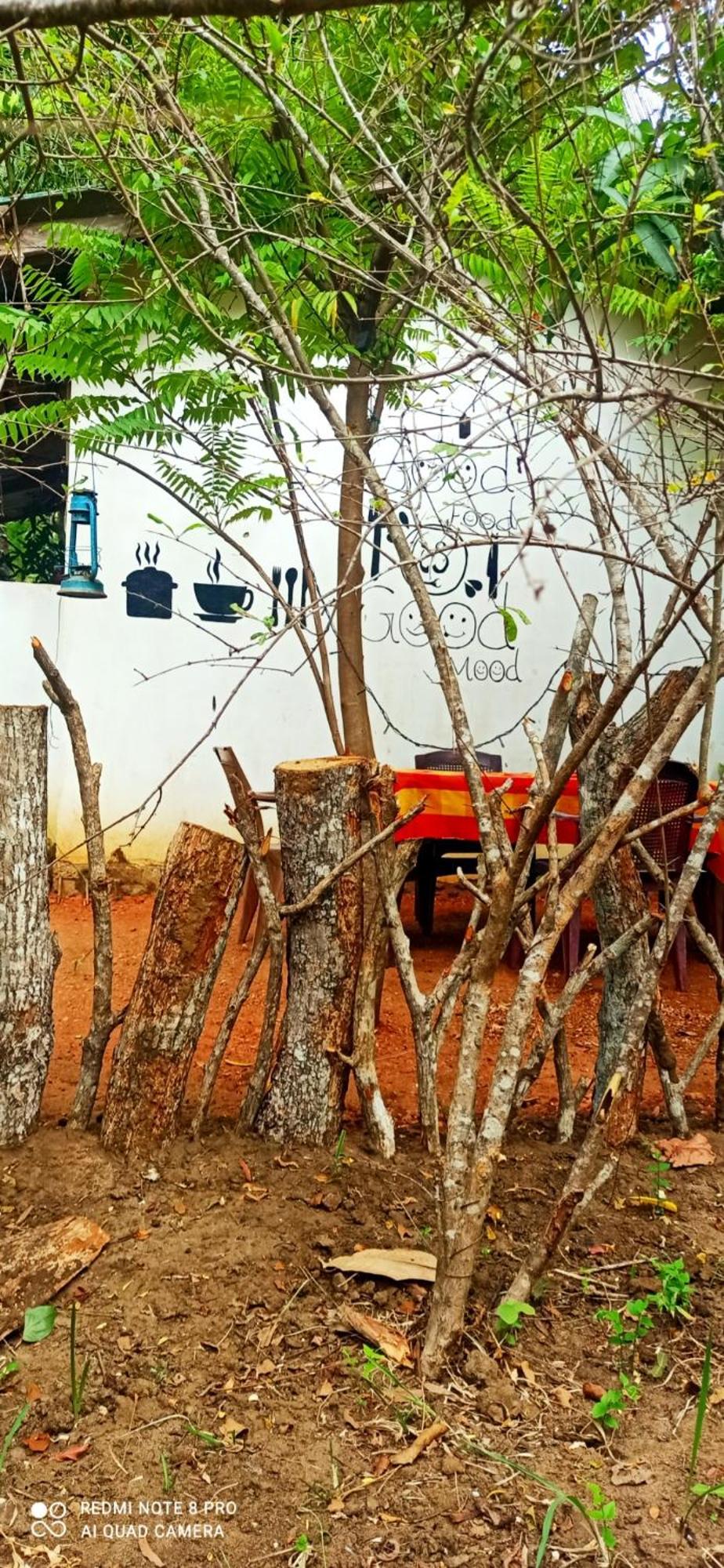 Sigiri Picaso Home Stay Sigiriya Exteriör bild