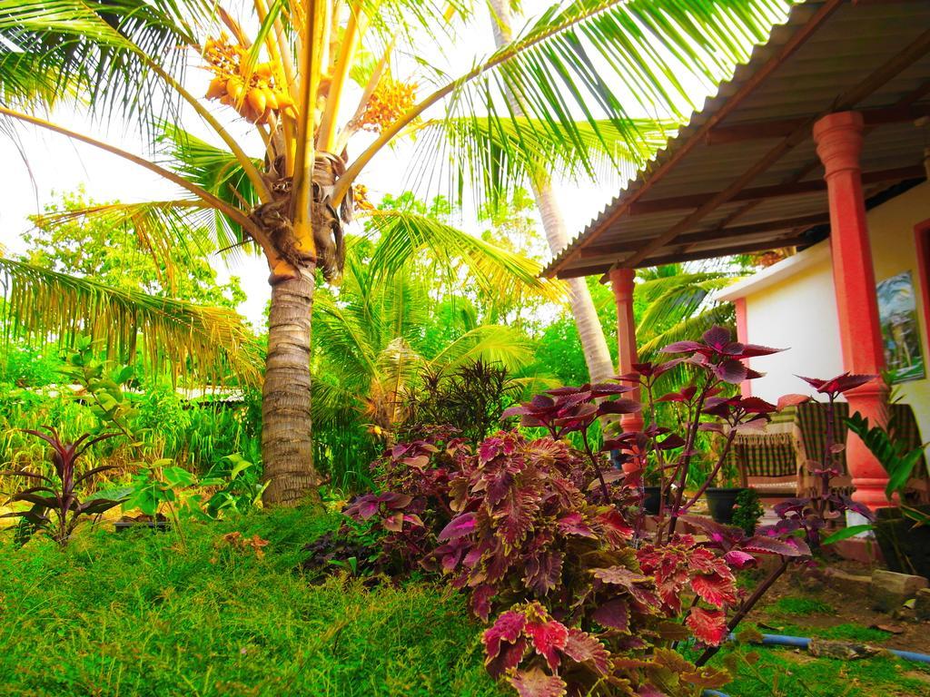 Sigiri Picaso Home Stay Sigiriya Exteriör bild