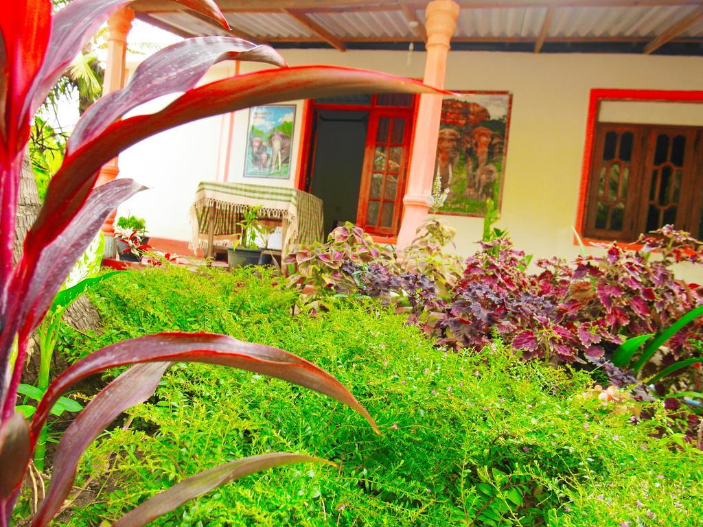 Sigiri Picaso Home Stay Sigiriya Exteriör bild
