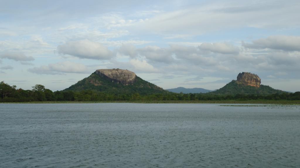 Sigiri Picaso Home Stay Sigiriya Exteriör bild