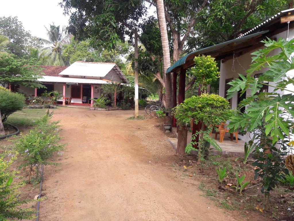 Sigiri Picaso Home Stay Sigiriya Exteriör bild