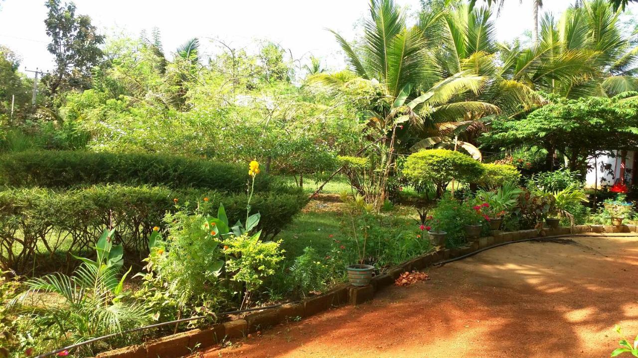 Sigiri Picaso Home Stay Sigiriya Exteriör bild