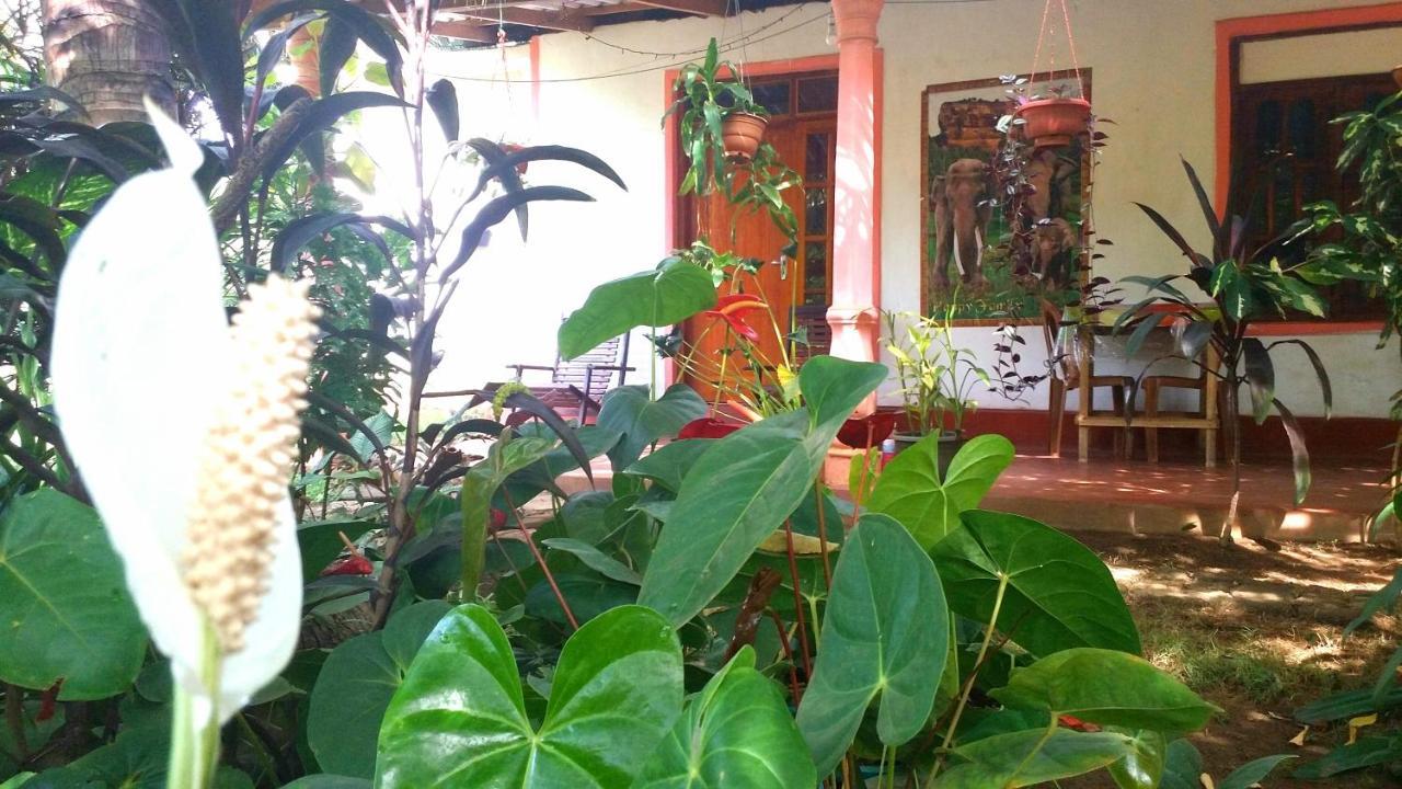 Sigiri Picaso Home Stay Sigiriya Exteriör bild