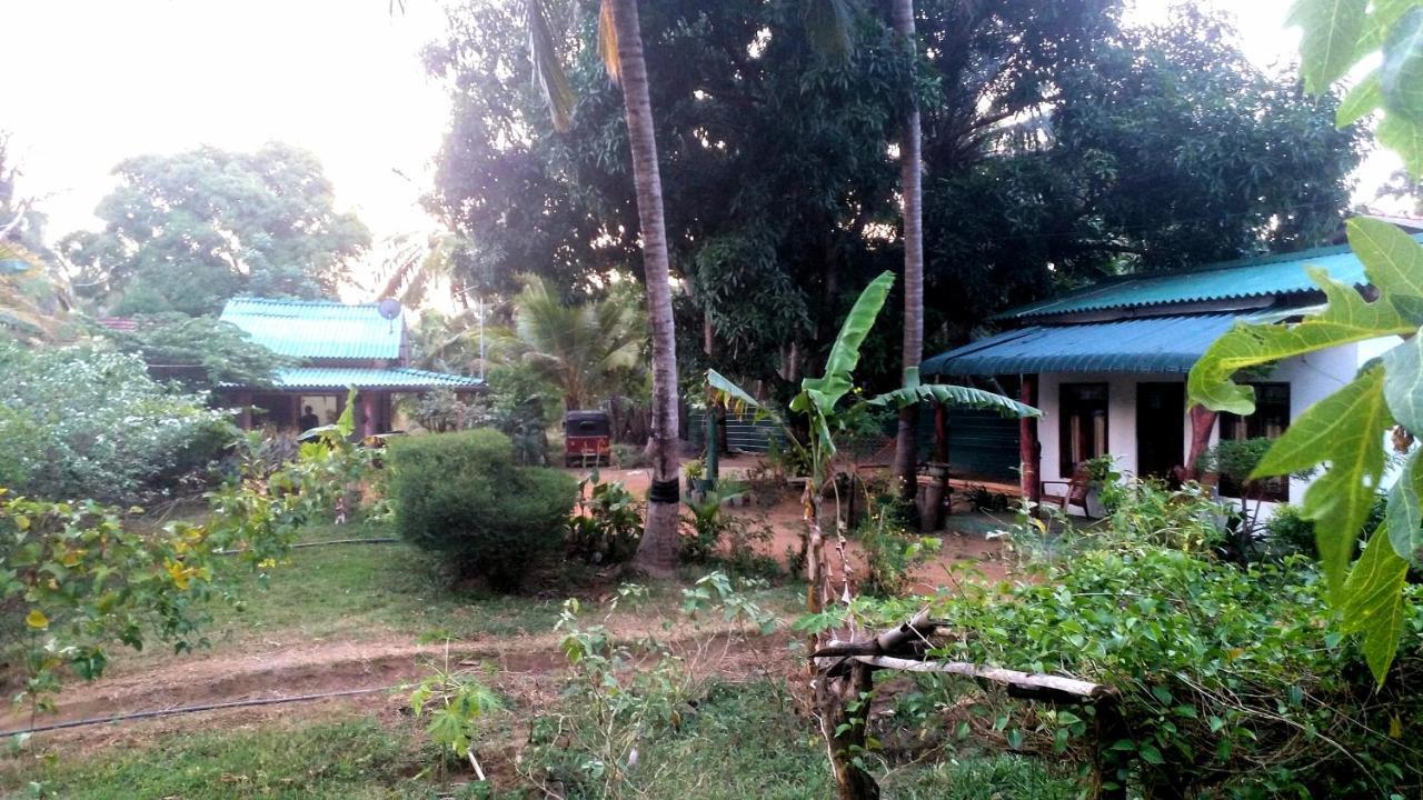Sigiri Picaso Home Stay Sigiriya Exteriör bild