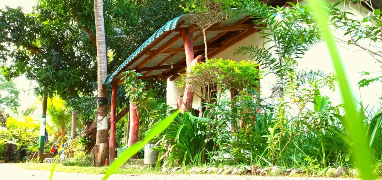Sigiri Picaso Home Stay Sigiriya Exteriör bild