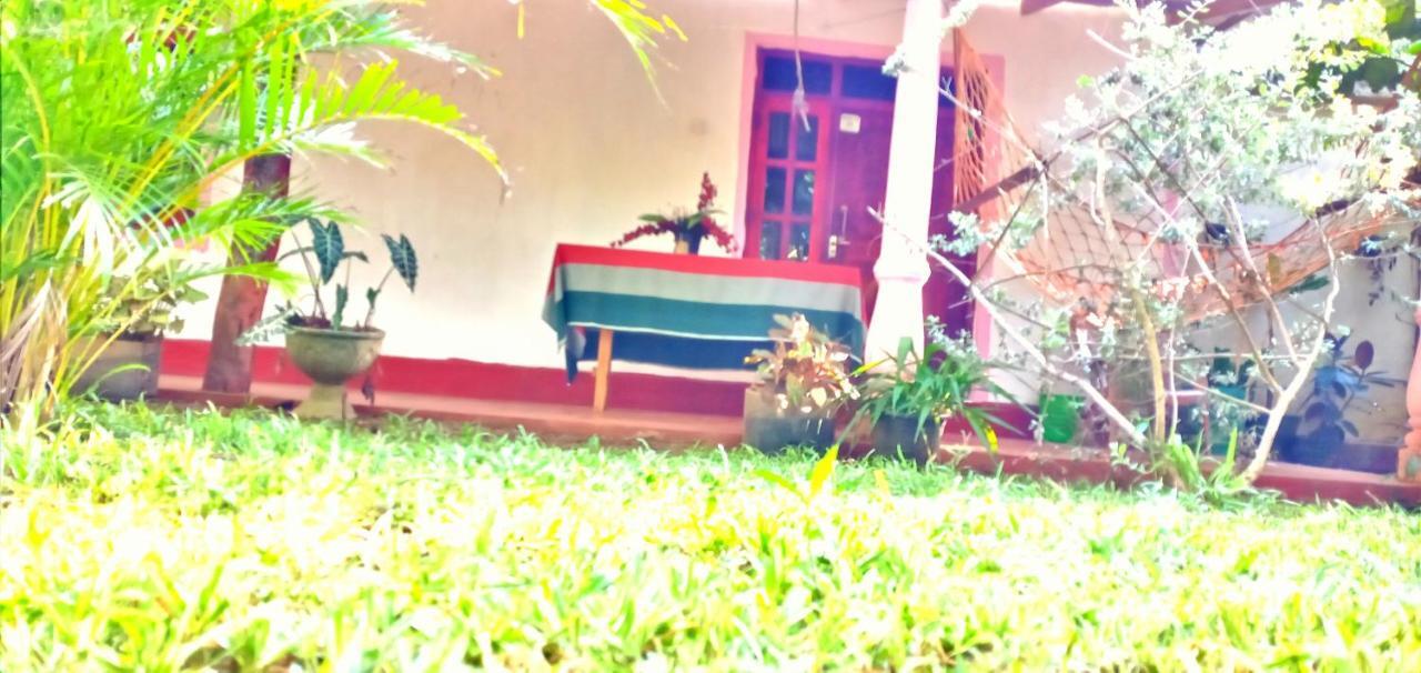 Sigiri Picaso Home Stay Sigiriya Exteriör bild
