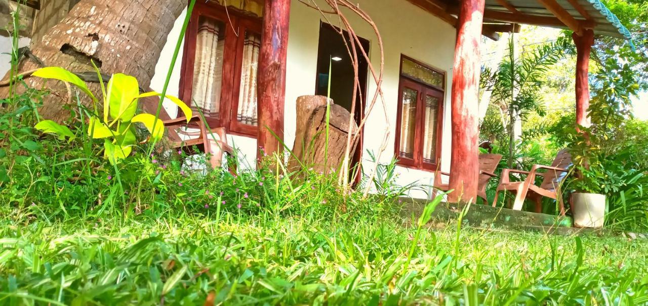 Sigiri Picaso Home Stay Sigiriya Exteriör bild